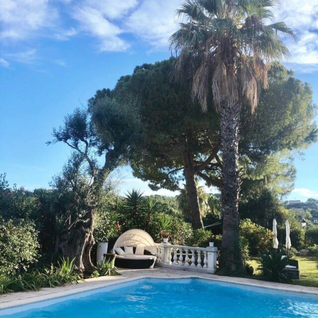 Profitez du calme de la Villa Topi pour vous ressourcer 🍃 

#guesthouse #cotedazur #antibes #chambredhotes #france #frenchriviera