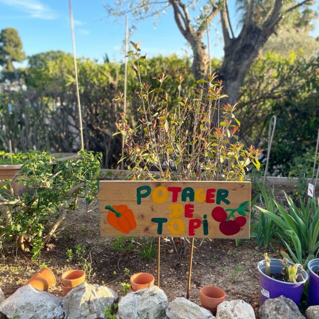Le potager de la Villa Topi produit chaque année fruits et légumes permettant la confection des ratatouilles et autres confitures proposées lors des petits déjeuners et dîners 

#lavillatopi #potager #local #food #chambredhotes #tabledhotes #ratatouille #confituremaison