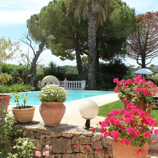 Une journée à la Villa Topi 🌺

#guesthouse #france #antibes #fleurs #piscine
